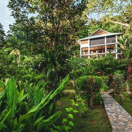 Roam Yoga & Wellness Lodge Bocas Town Luaran gambar