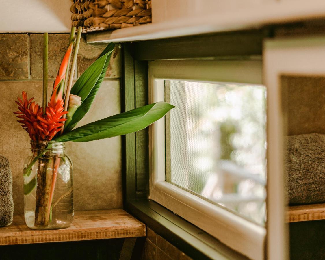Roam Yoga & Wellness Lodge Bocas Town Luaran gambar