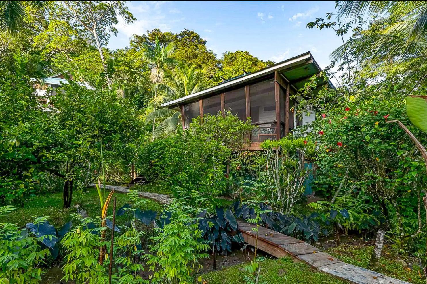 Roam Yoga & Wellness Lodge Bocas Town Luaran gambar