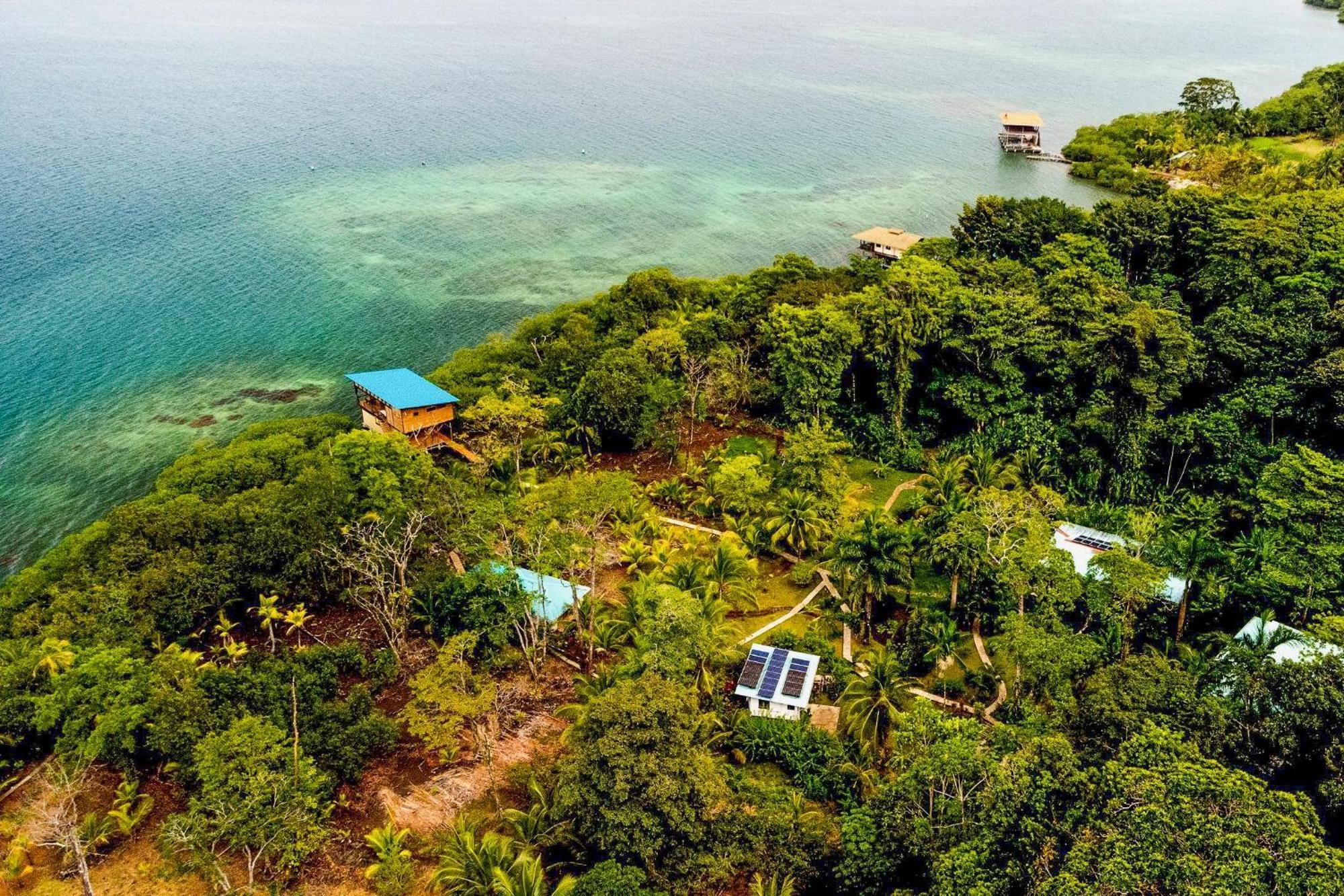 Roam Yoga & Wellness Lodge Bocas Town Luaran gambar