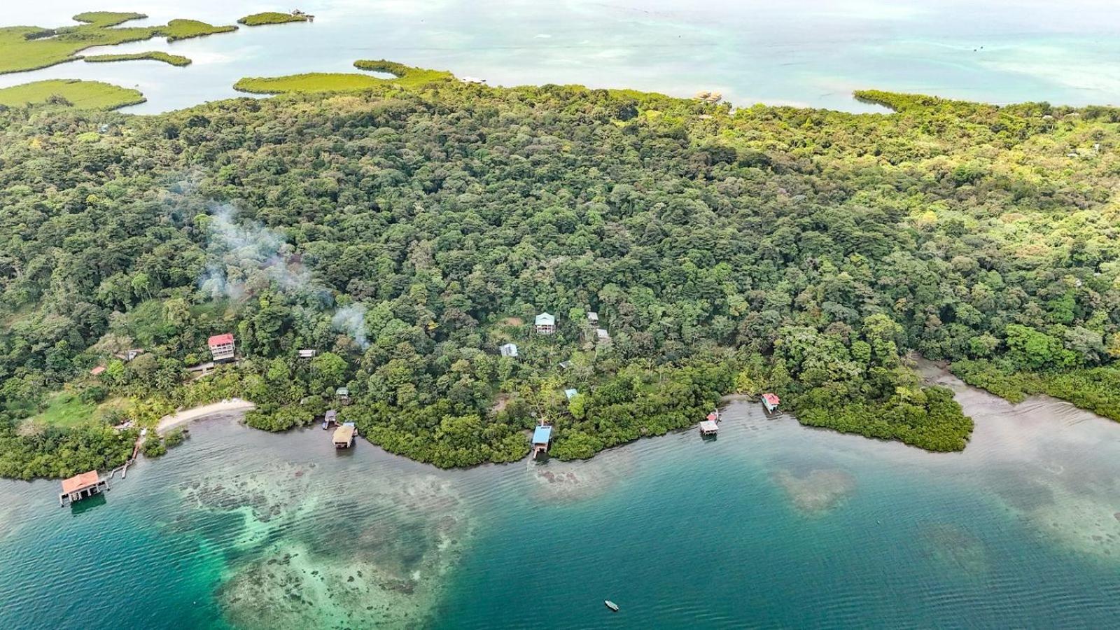 Roam Yoga & Wellness Lodge Bocas Town Luaran gambar