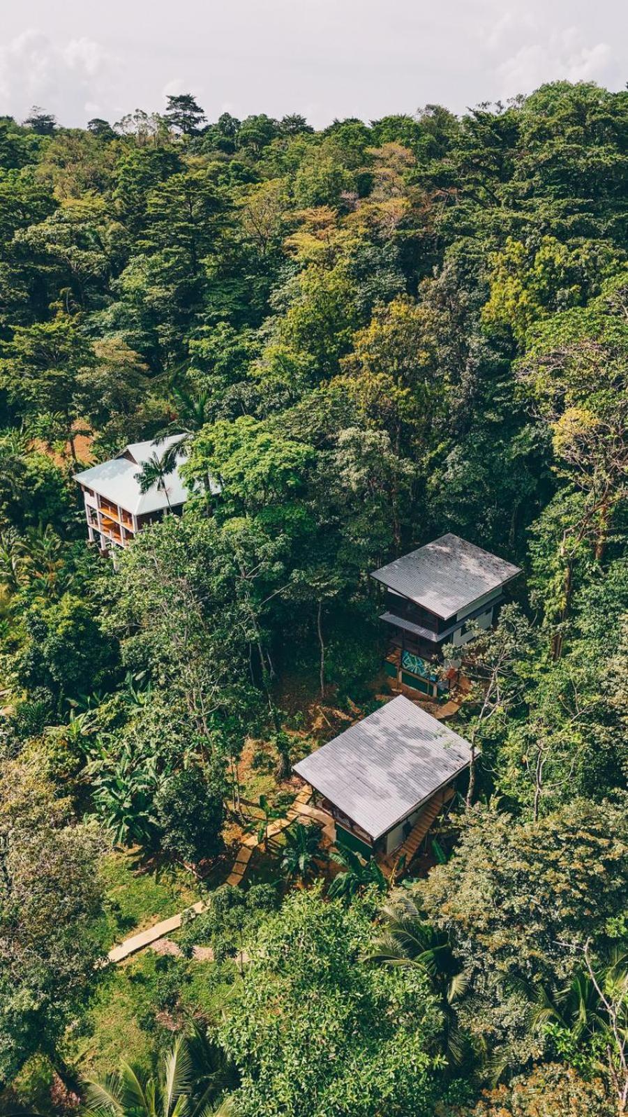 Roam Yoga & Wellness Lodge Bocas Town Luaran gambar